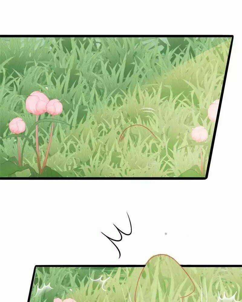 Hoàng Tử Phu Quân, Ta Nuôi Ngươi A! Chapter 1 trang 54