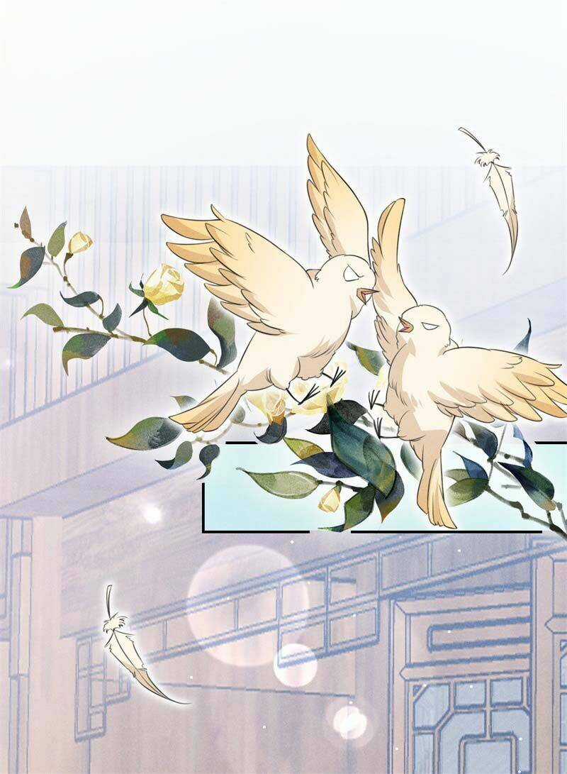 Hoàng Tử Phu Quân, Ta Nuôi Ngươi A! Chapter 13 trang 19