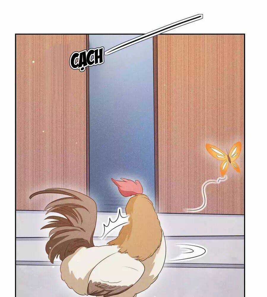 Hoàng Tử Phu Quân, Ta Nuôi Ngươi A! Chapter 17 trang 37