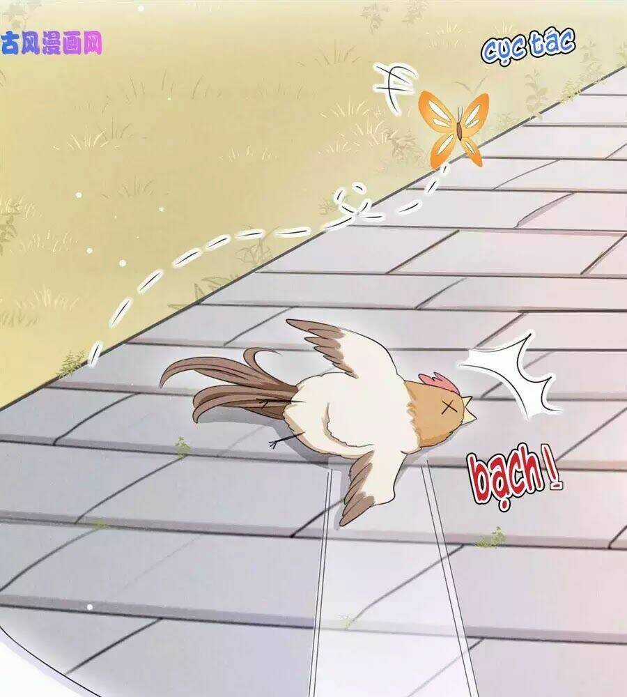 Hoàng Tử Phu Quân, Ta Nuôi Ngươi A! Chapter 17 trang 39