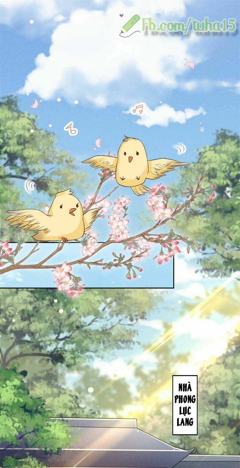 Hoàng Tử Phu Quân, Ta Nuôi Ngươi A! Chapter 19 trang 3