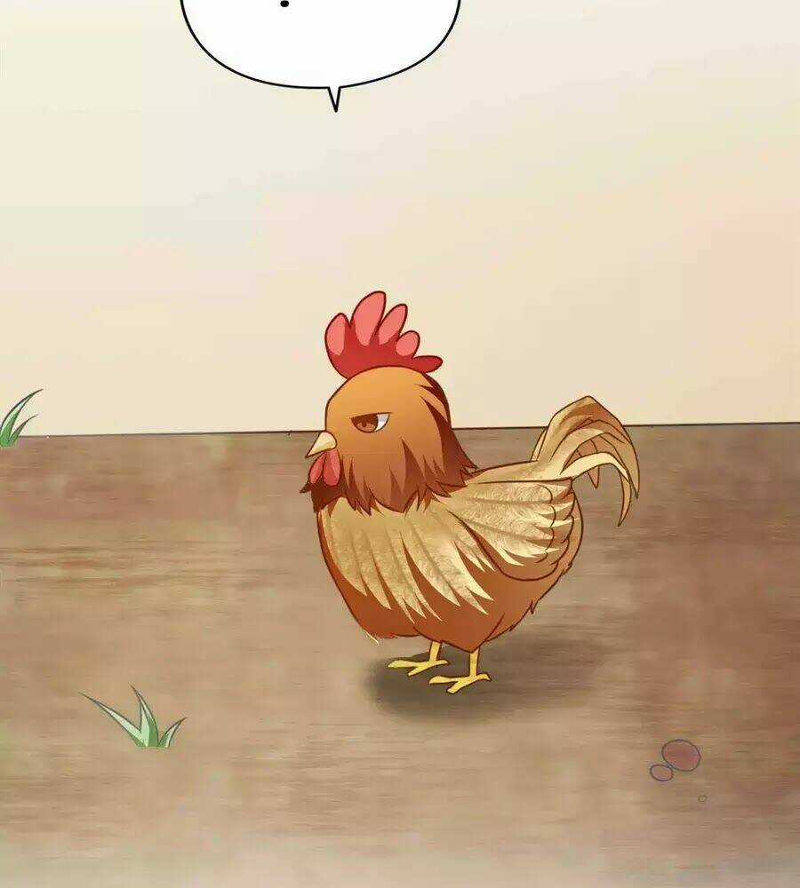 Hoàng Tử Phu Quân, Ta Nuôi Ngươi A! Chapter 2 trang 98