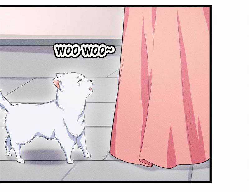 Hoàng Tử Phu Quân, Ta Nuôi Ngươi A! Chapter 26 trang 11