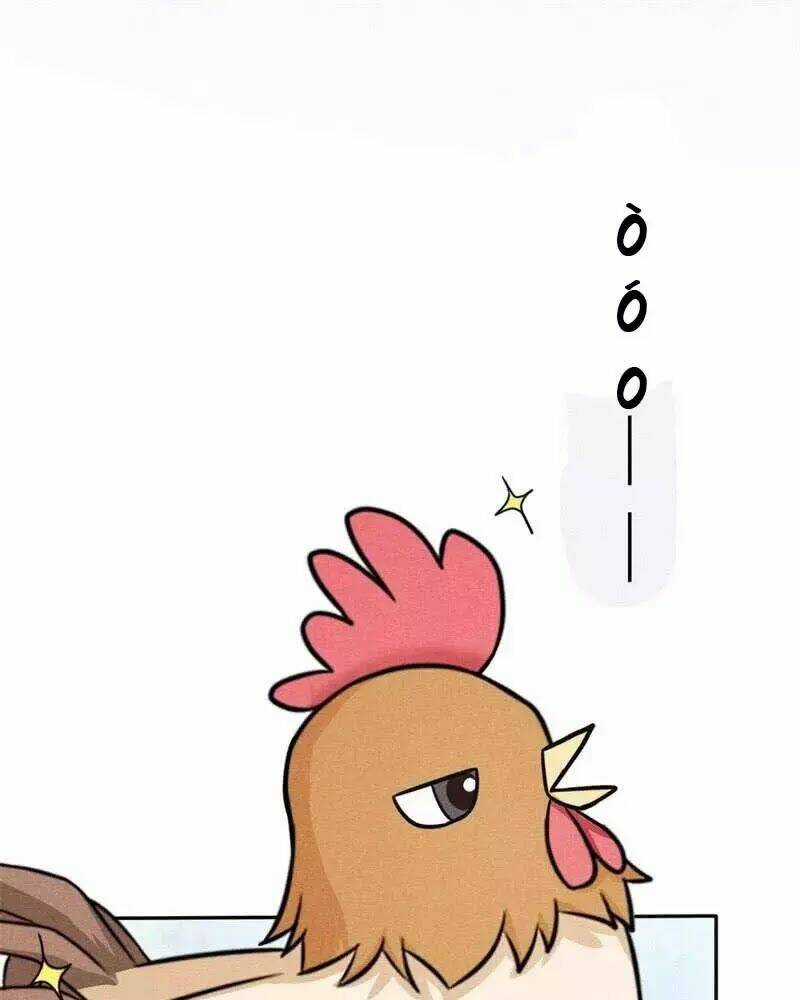 Hoàng Tử Phu Quân, Ta Nuôi Ngươi A! Chapter 6 trang 7