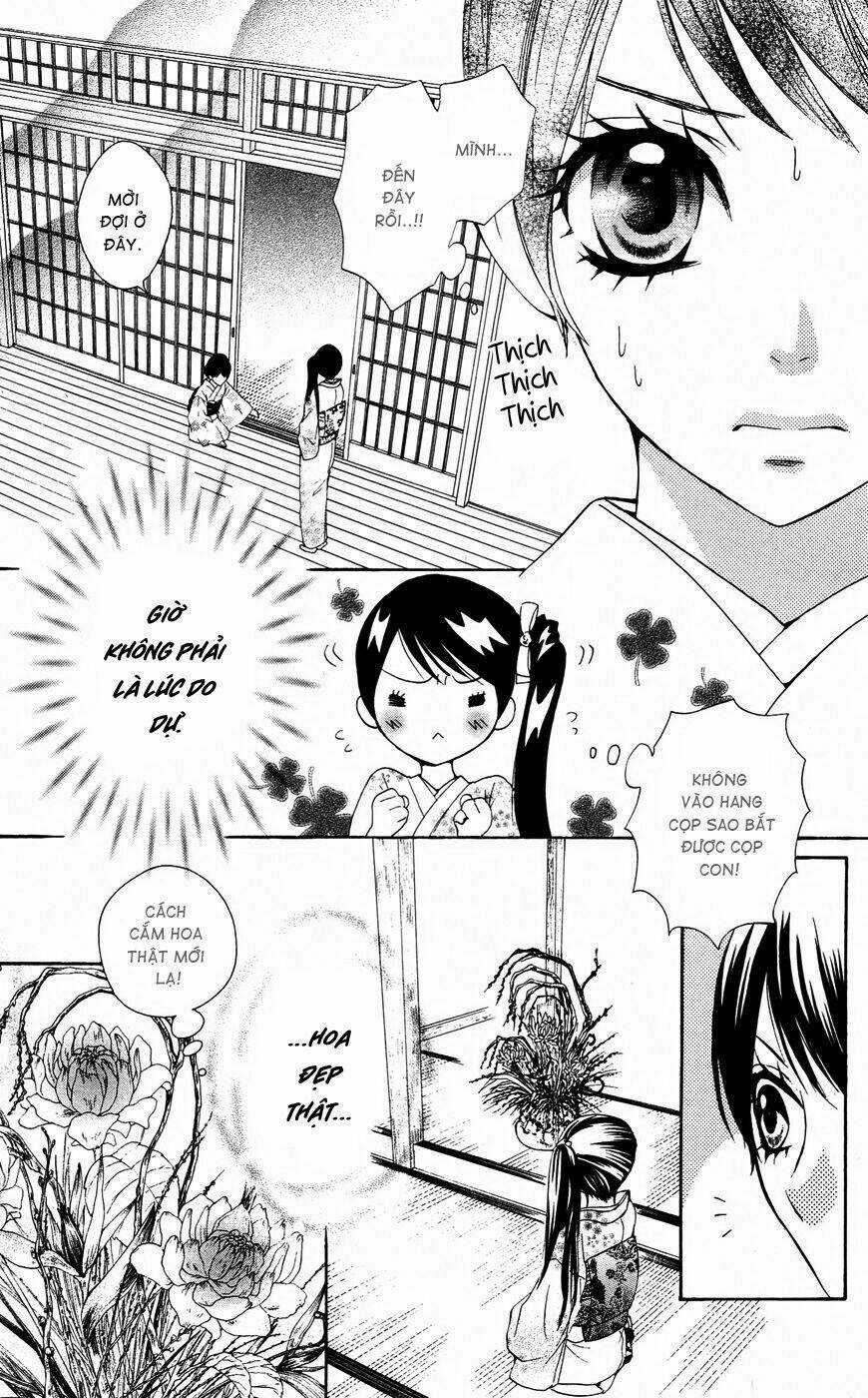 Hoàng Tử, Phù Thủy Và Những Nàng Công Chúa Chapter 17 trang 11