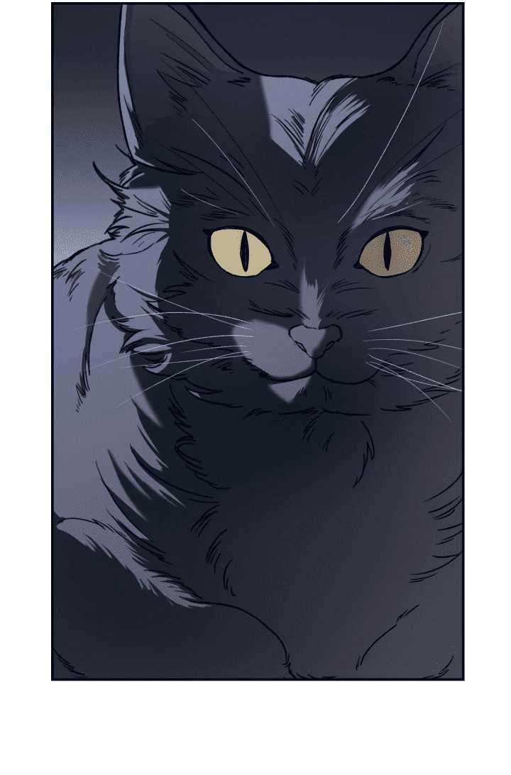 Học Viện Mu Wui Kwan Chapter 1 trang 38