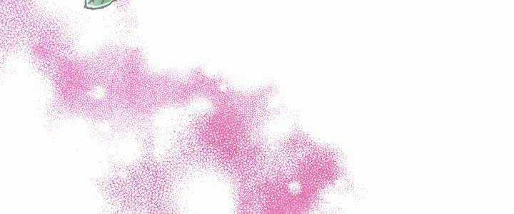 Học Viện Mu Wui Kwan Chapter 6 trang 54