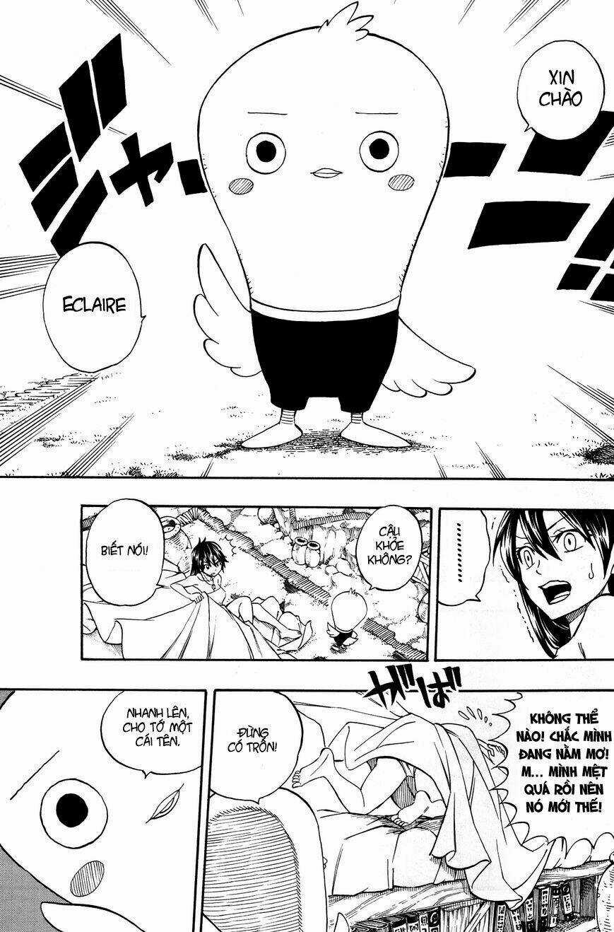 Hội Pháp Sư Nổi Tiếng Ngoại Truyện - Hòn Đá Phượng Hoàng Chapter 0 trang 11