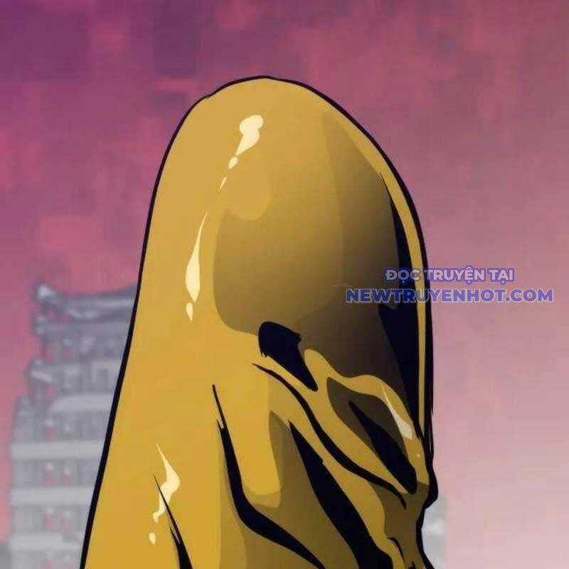 Hồi Quy Giả Chương 115 trang 216