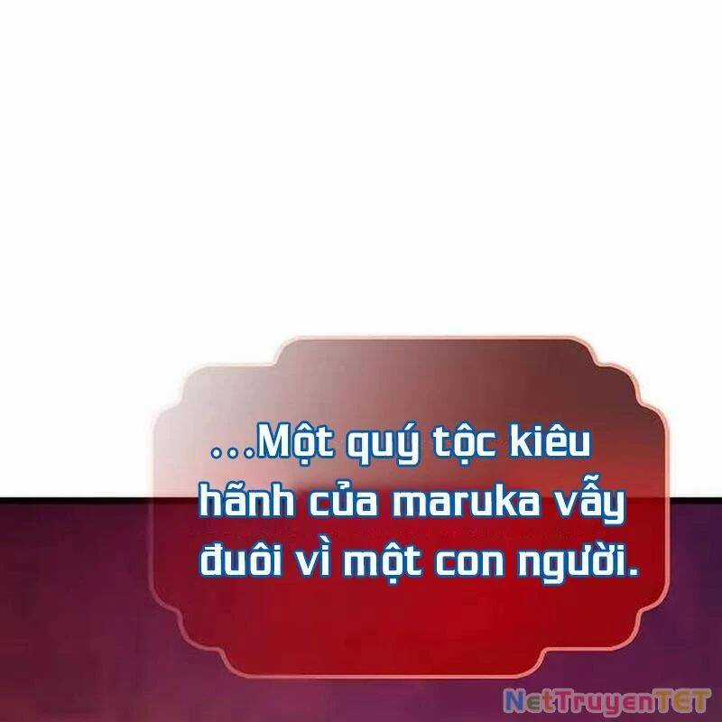 Hồi Quy Giả Chương 116 trang 141