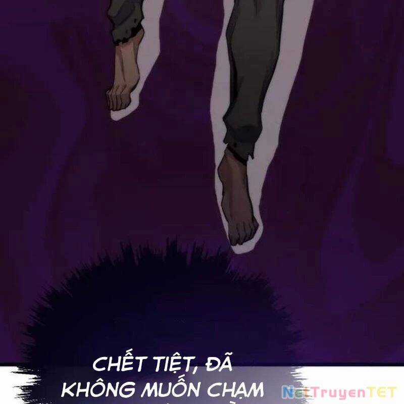 Hồi Quy Giả Chương 116 trang 186