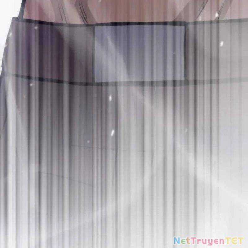 Hồi Quy Giả Chương 116 trang 235