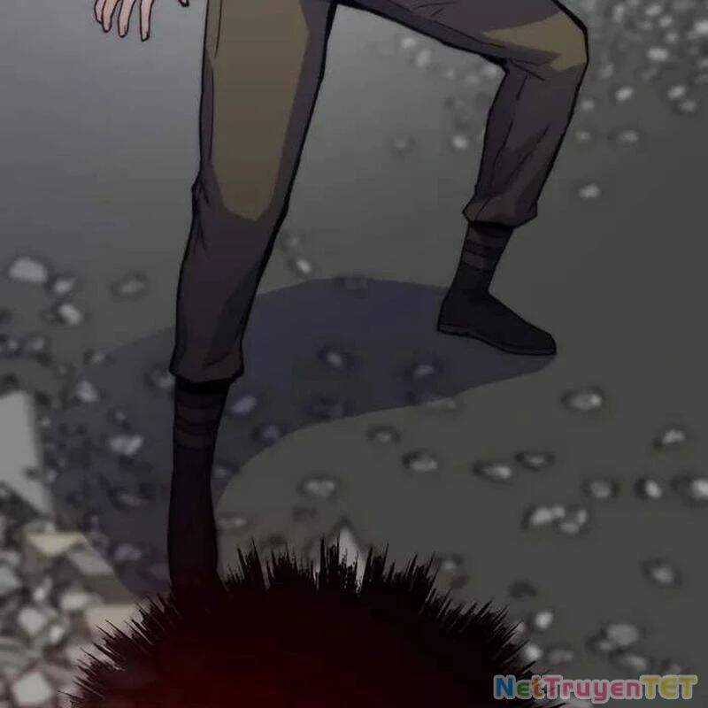 Hồi Quy Giả Chương 116 trang 30