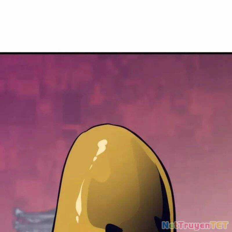 Hồi Quy Giả Chương 116 trang 4