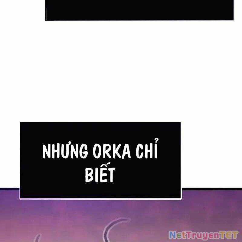 Hồi Quy Giả Chương 116 trang 72