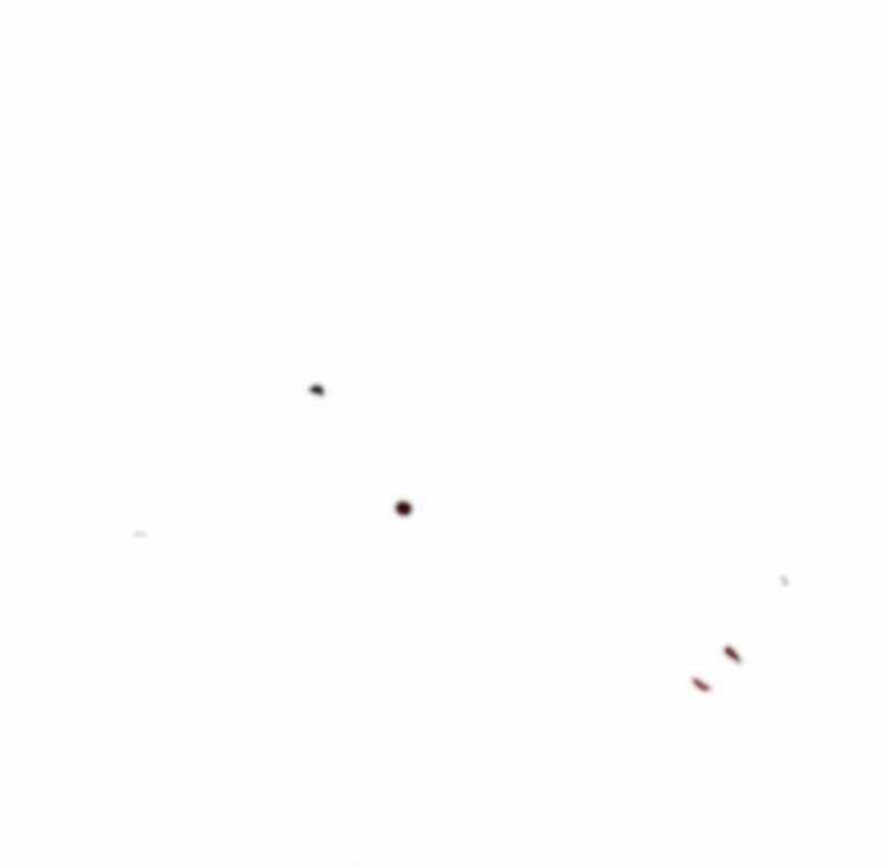 Hồi Quy Giả Chương 47 trang 121