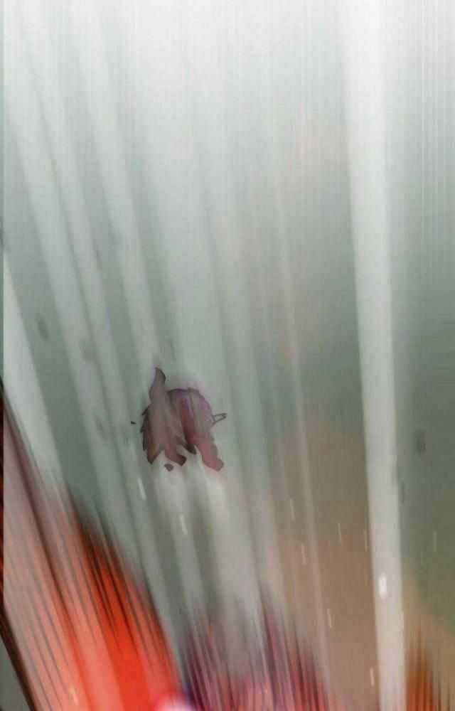 Hồi Quy Giả Chương 79 trang 29