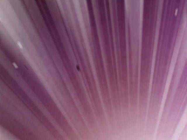 Hồi Quy Giả Chương 79 trang 89