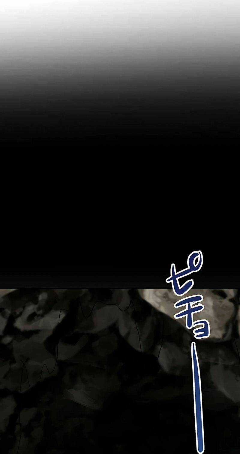 Hồi Quy Trở Thành Mạo Hiểm Giả Mạnh Nhất Nhờ Class Ẩn Điều Khiển Trọng Lực Chapter 15 trang 81