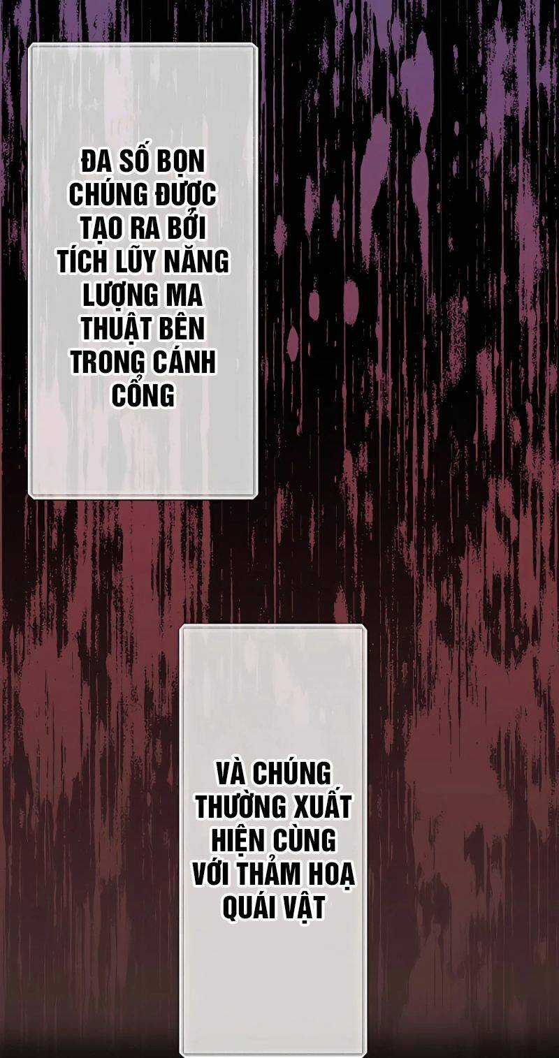 Hồi Quy Trở Thành Mạo Hiểm Giả Mạnh Nhất Nhờ Class Ẩn Điều Khiển Trọng Lực Chapter 28 trang 5