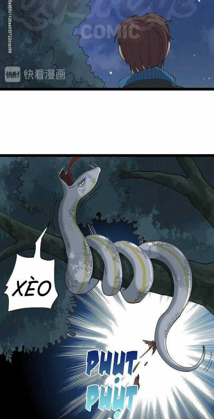 Hồi Xuân Tiểu Độc Y Chapter 11 trang 3