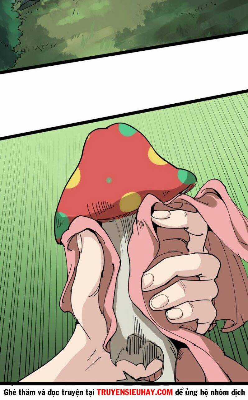 Hồi Xuân Tiểu Độc Y Chapter 17 trang 47