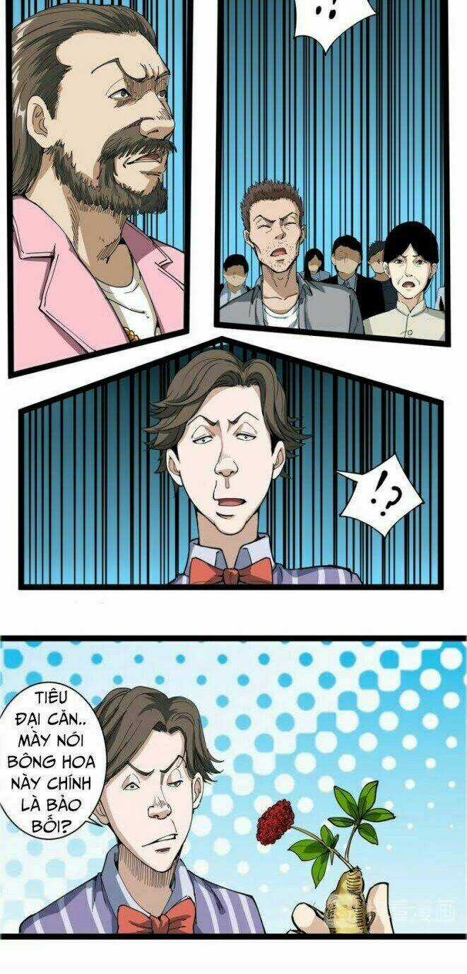 Hồi Xuân Tiểu Độc Y Chapter 4 trang 31