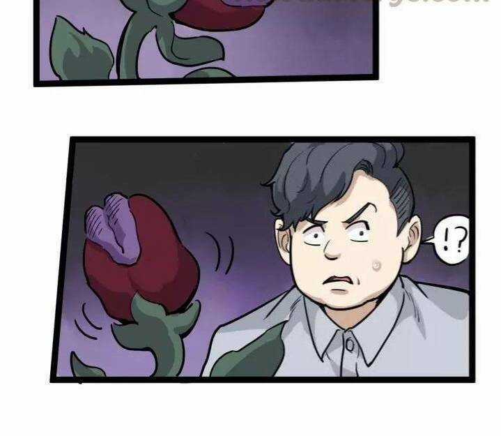 Hồi Xuân Tiểu Độc Y Chapter 47 trang 79