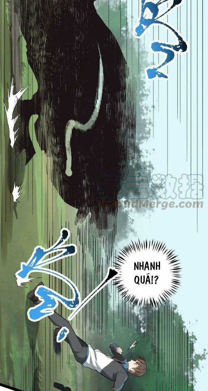 Hồi Xuân Tiểu Độc Y Chapter 68 trang 33