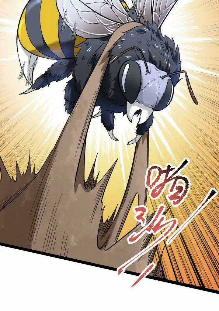 Hồi Xuân Tiểu Độc Y Chapter 70 trang 27