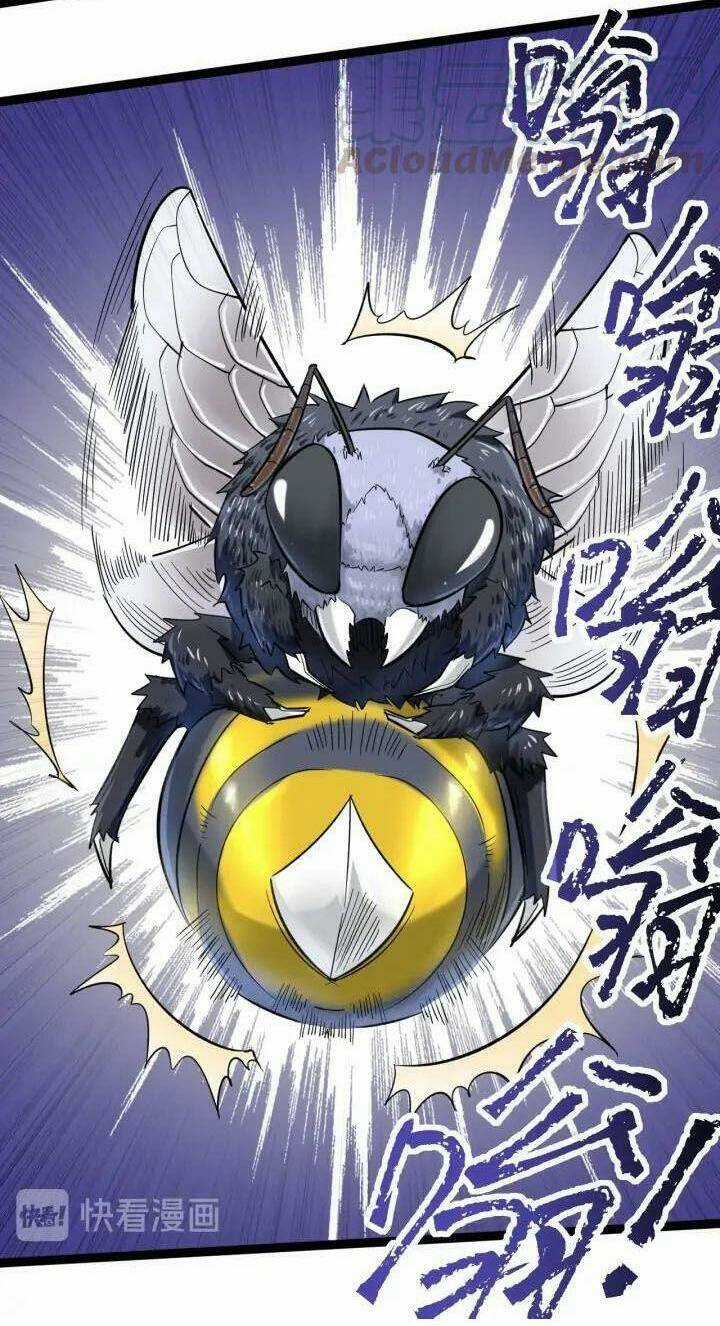 Hồi Xuân Tiểu Độc Y Chapter 70 trang 30