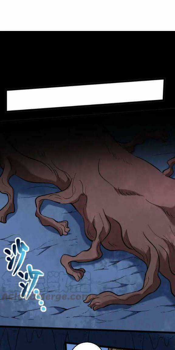 Hồi Xuân Tiểu Độc Y Chapter 73 trang 23