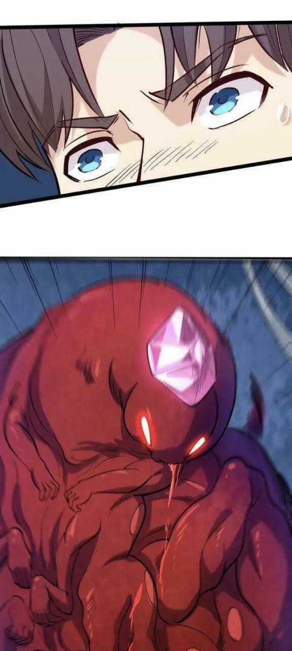 Hồi Xuân Tiểu Độc Y Chapter 73 trang 5