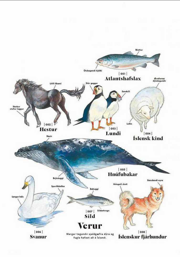 Hokuhokusei Ni Kumo To Ike Chapter 18 trang 40