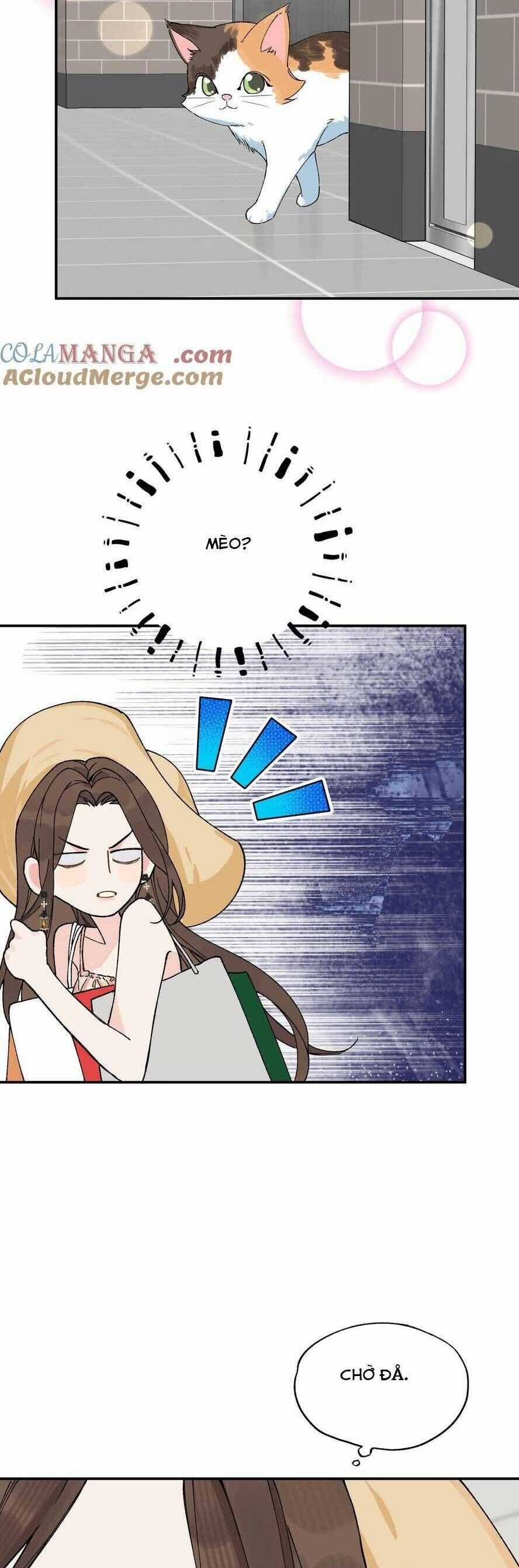 Hôm Nay Anh Có Lộ Bí Mật Chưa? Chapter 13 trang 22