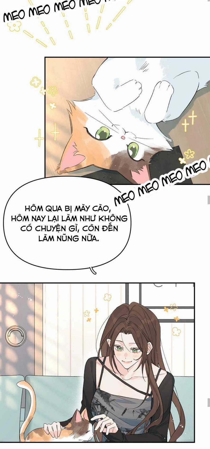 Hôm Nay Anh Có Lộ Bí Mật Chưa? Chapter 26 trang 18