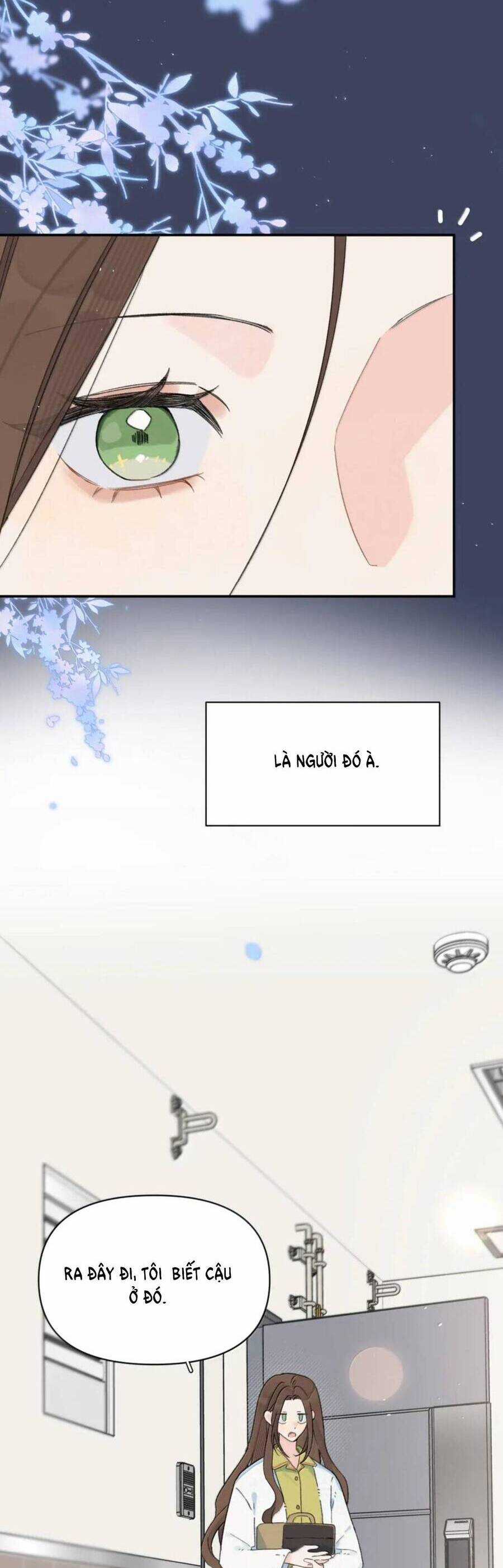 Hôm Nay Anh Có Lộ Bí Mật Chưa? Chapter 38 trang 17