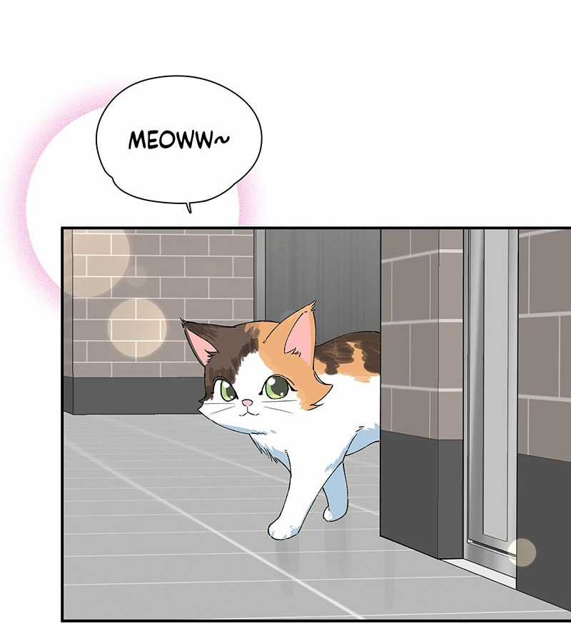 Hôm Nay Bạn Có Giám Phơi Bày Bản Thân Mình Không?! Chapter 13 trang 41