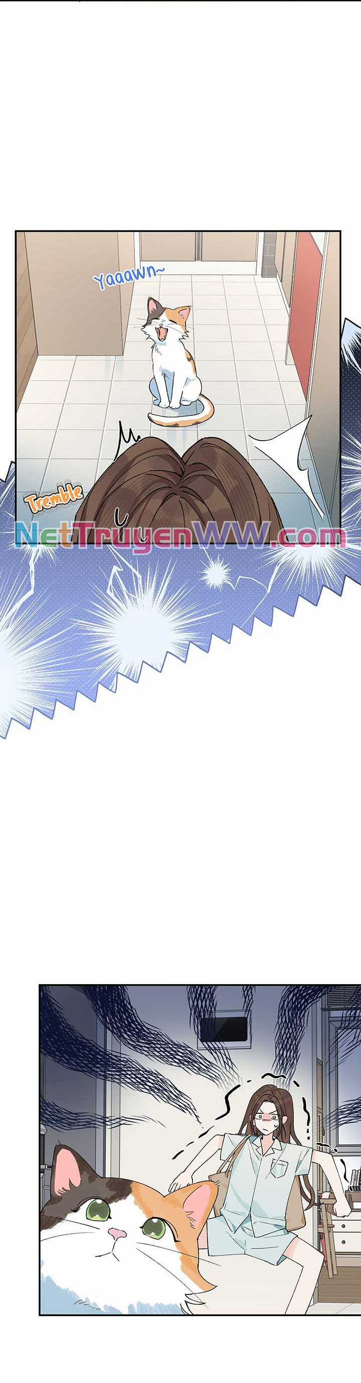 Hôm Nay Bạn Có Giám Phơi Bày Bản Thân Mình Không?! Chapter 20 trang 13