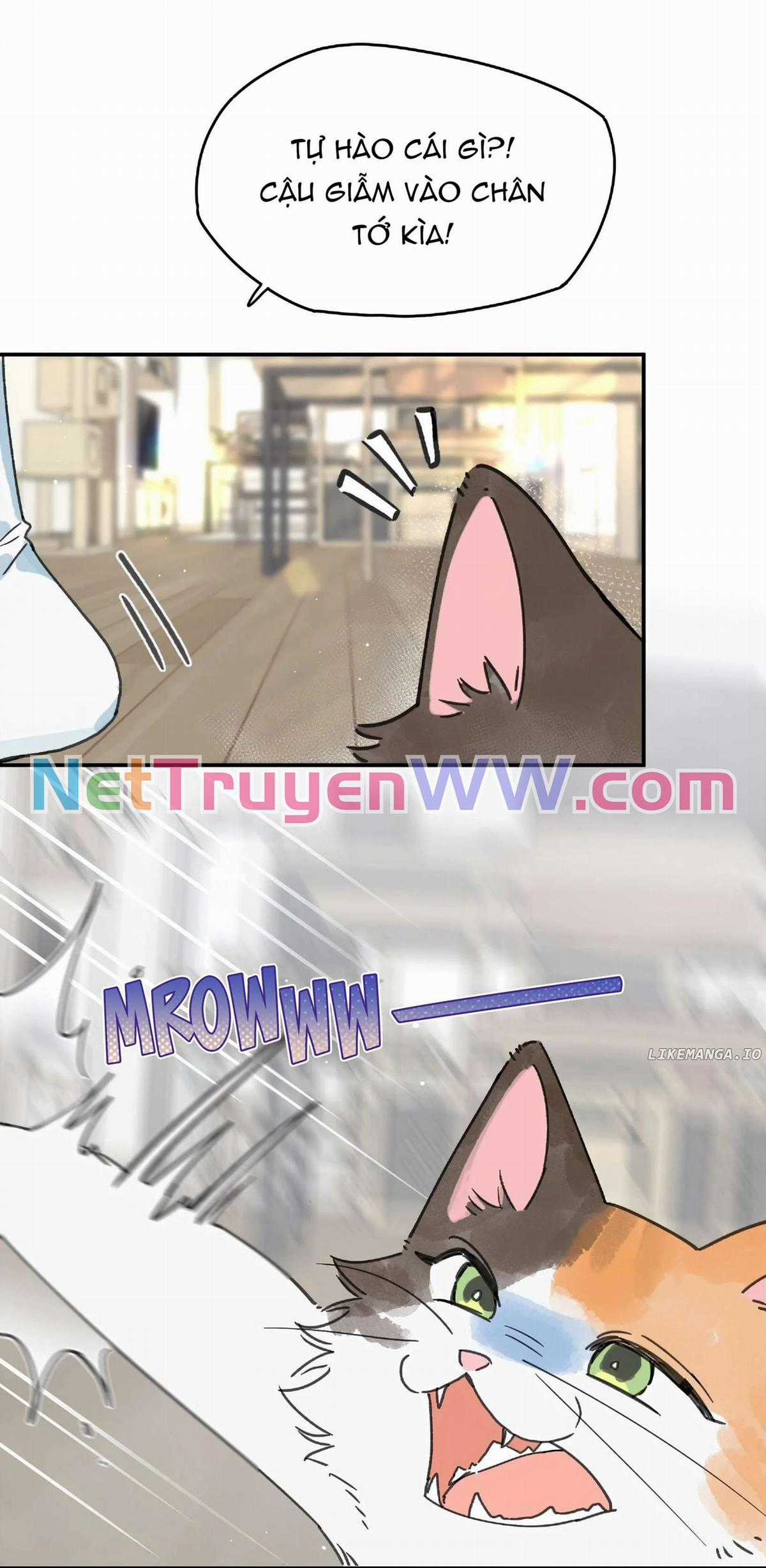 Hôm Nay Bạn Có Giám Phơi Bày Bản Thân Mình Không?! Chapter 25 trang 8