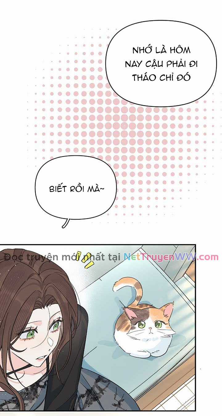 Hôm Nay Bạn Có Giám Phơi Bày Bản Thân Mình Không?! Chapter 27 trang 16