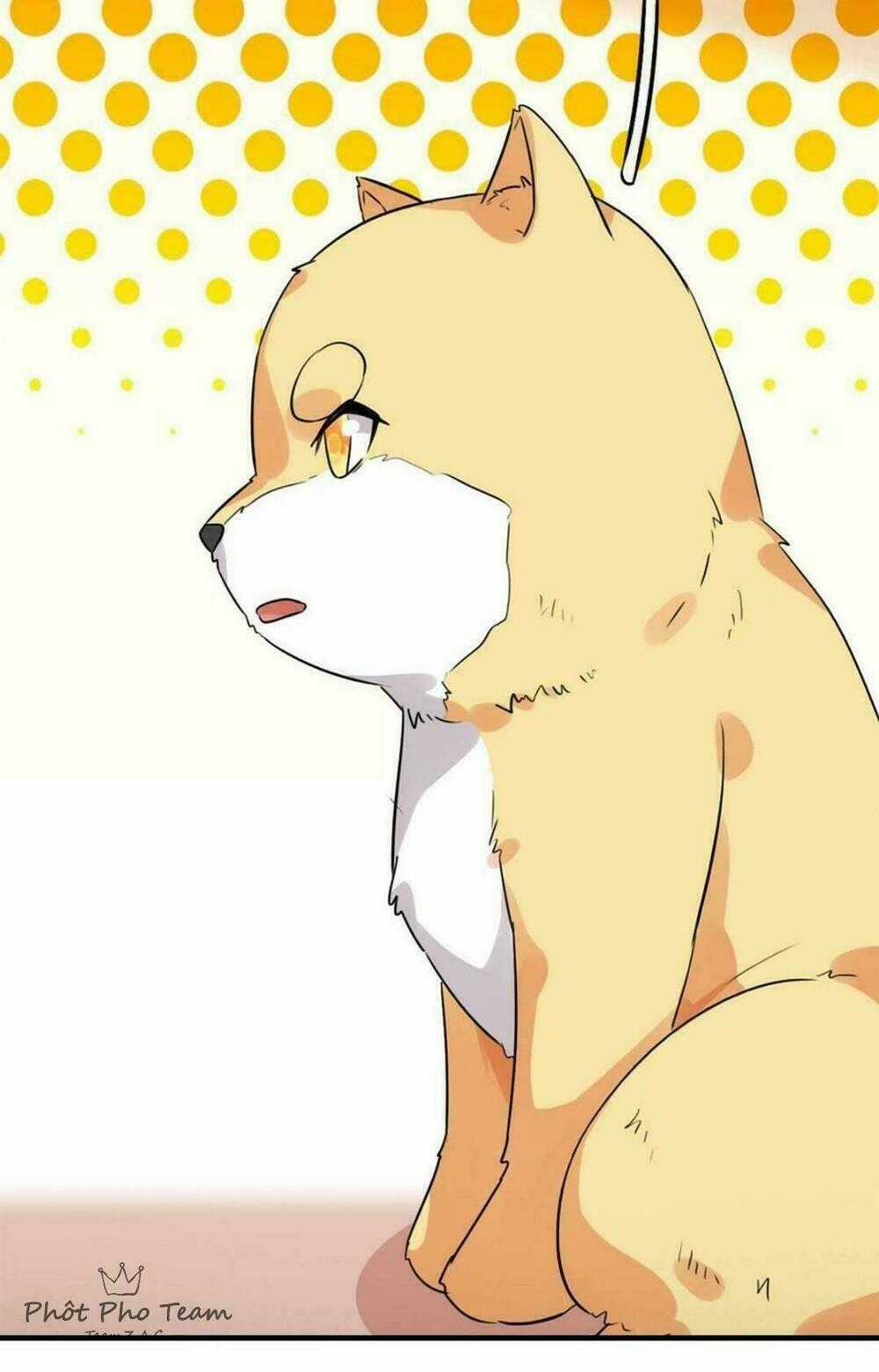 Hôm Nay Lại Cũng Không Thể Biến Thành Người Được Chapter 1 trang 11