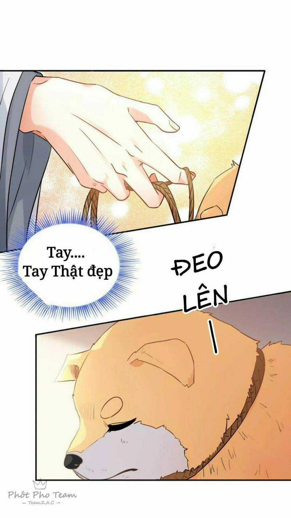 Hôm Nay Lại Cũng Không Thể Biến Thành Người Được Chapter 2 trang 38