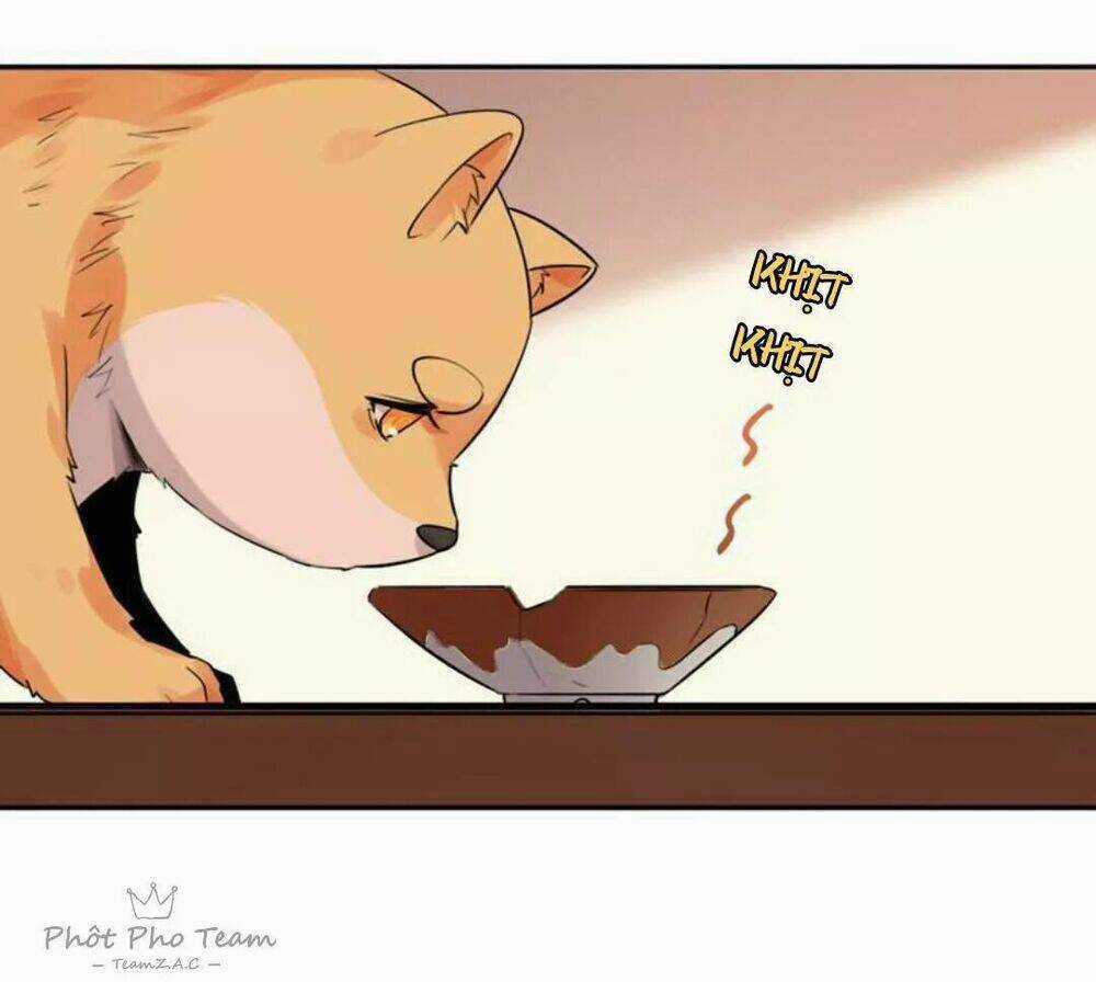 Hôm Nay Lại Cũng Không Thể Biến Thành Người Được Chapter 5 trang 12