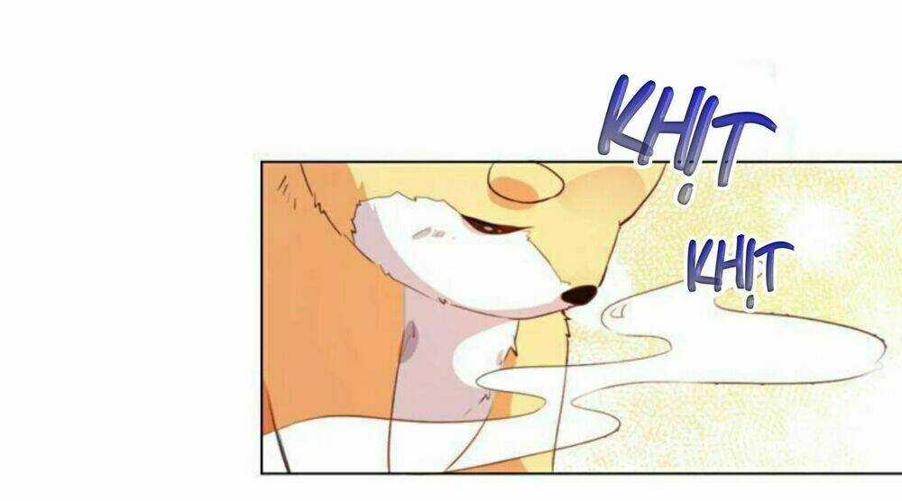 Hôm Nay Lại Cũng Không Thể Biến Thành Người Được Chapter 6 trang 22