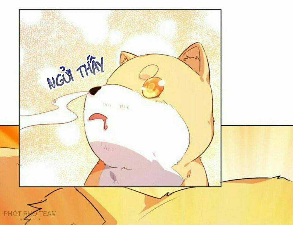 Hôm Nay Lại Cũng Không Thể Biến Thành Người Được Chapter 6 trang 23