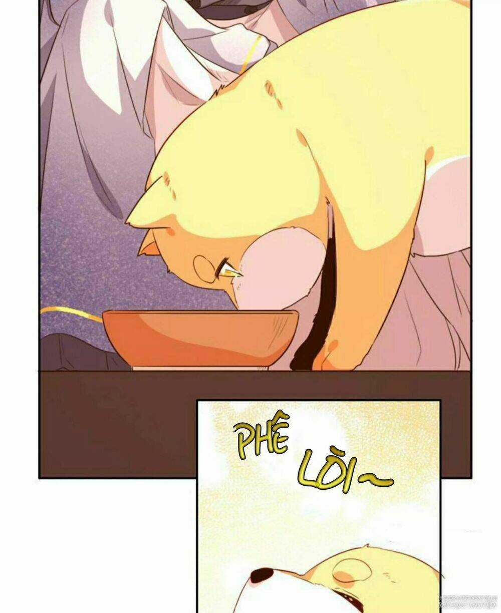 Hôm Nay Lại Cũng Không Thể Biến Thành Người Được Chapter 6 trang 27