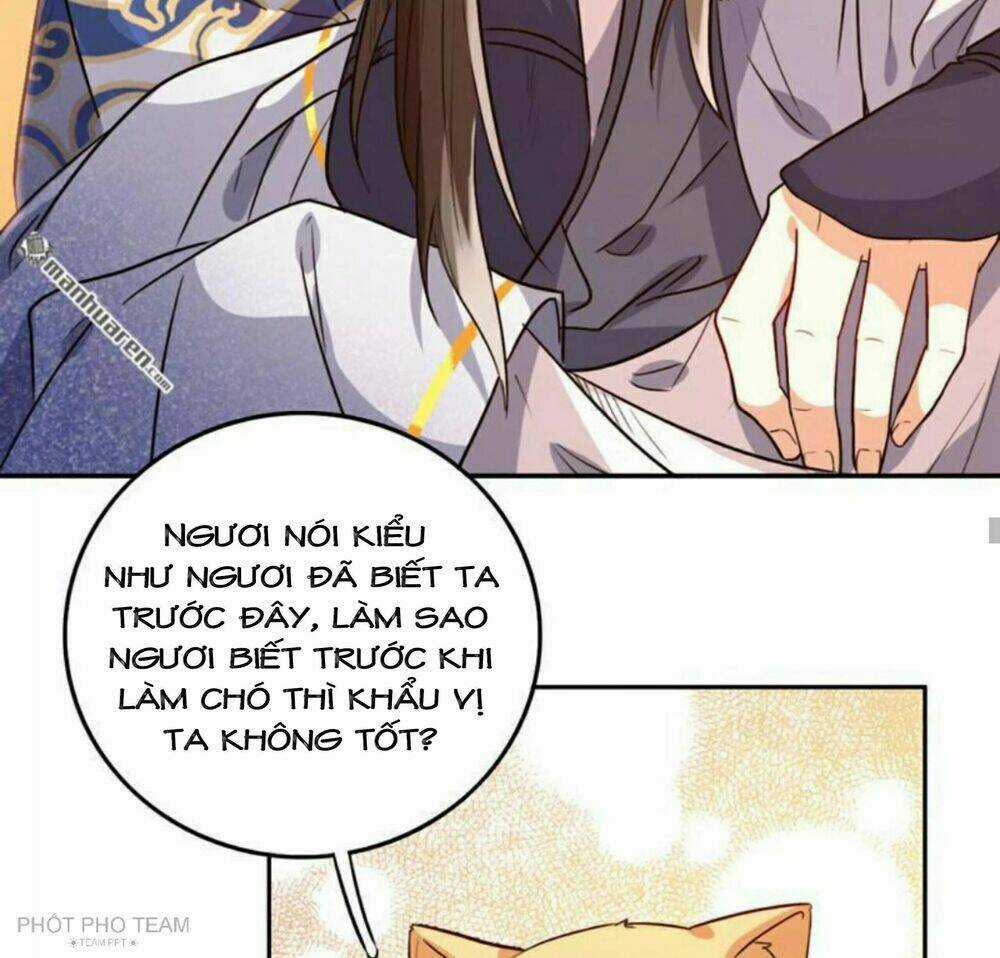 Hôm Nay Lại Cũng Không Thể Biến Thành Người Được Chapter 6 trang 31