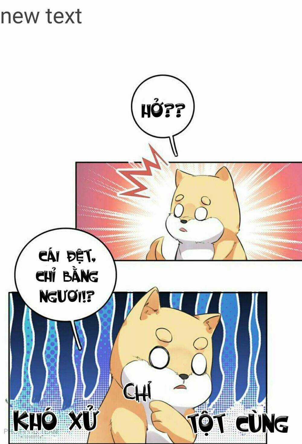 Hôm Nay Lại Cũng Không Thể Biến Thành Người Được Chapter 6 trang 40