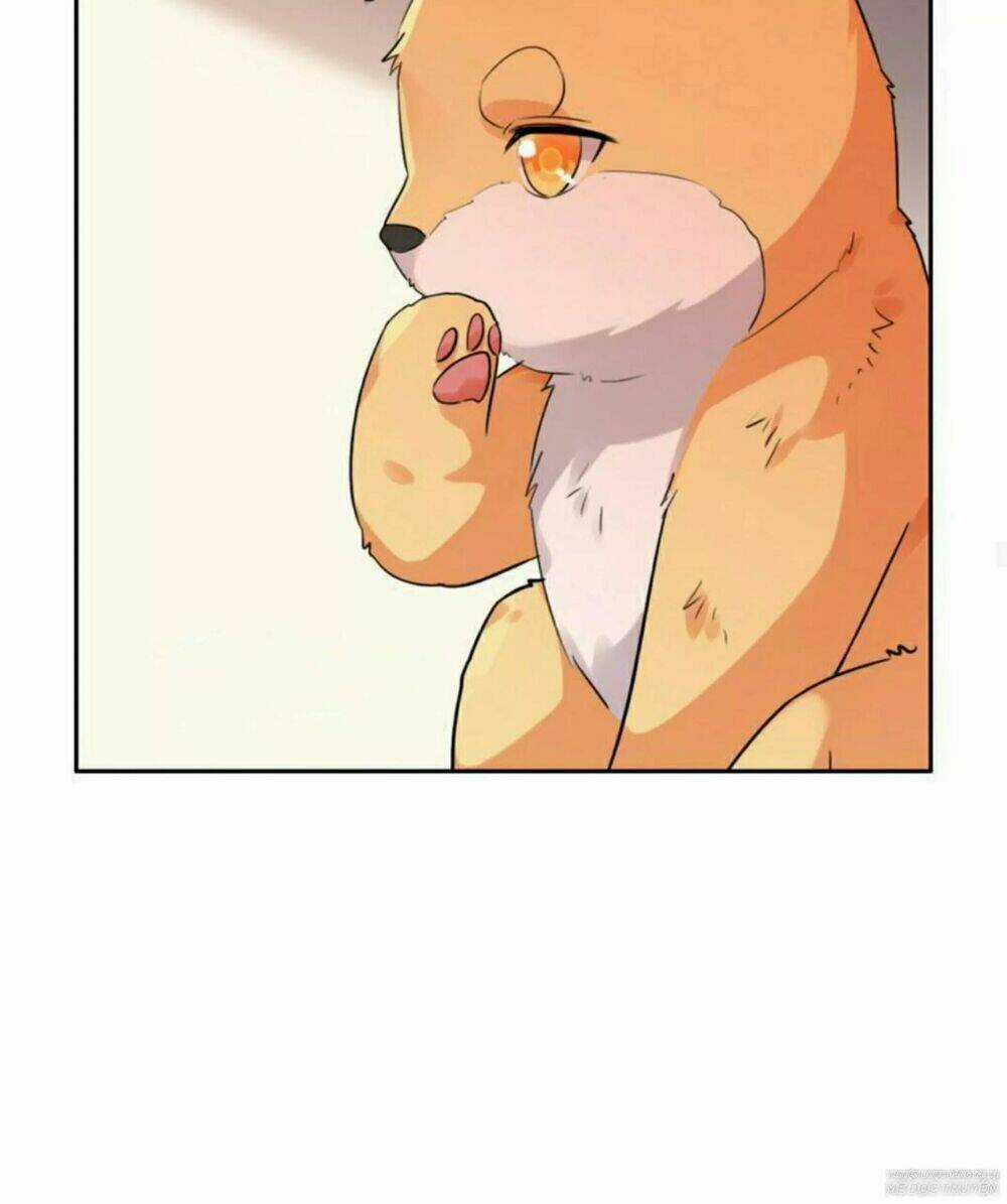 Hôm Nay Lại Cũng Không Thể Biến Thành Người Được Chapter 6 trang 42